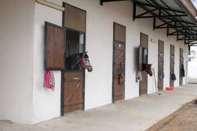 Barn Door Painting
